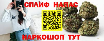 спиды Гудермес