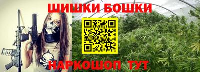 гидра Вязьма