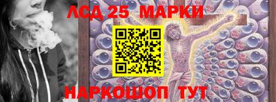 гидра Вязьма
