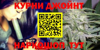 гидра Вязьма